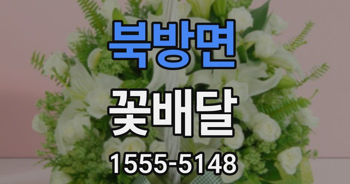북방면 꽃배달