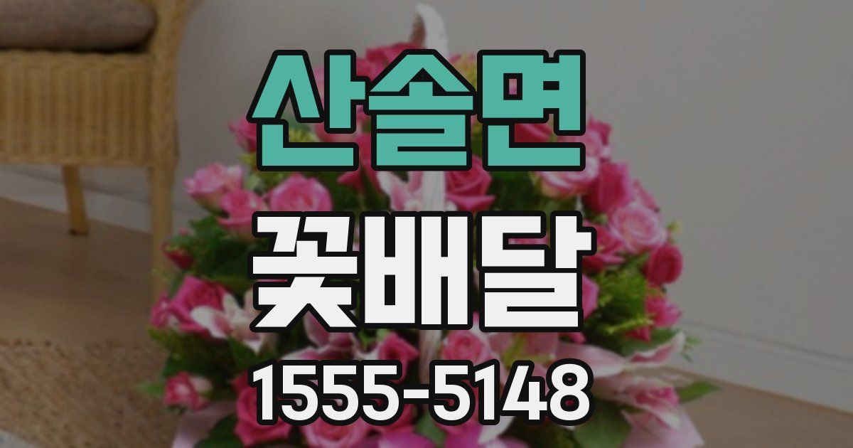 산솔면 꽃배달