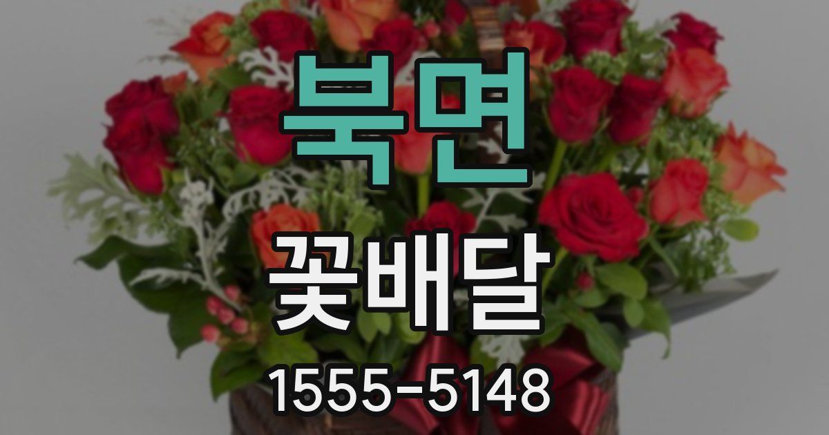 북면 꽃배달