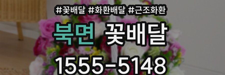 북면 꽃배달