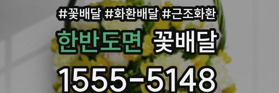 한반도면 꽃배달