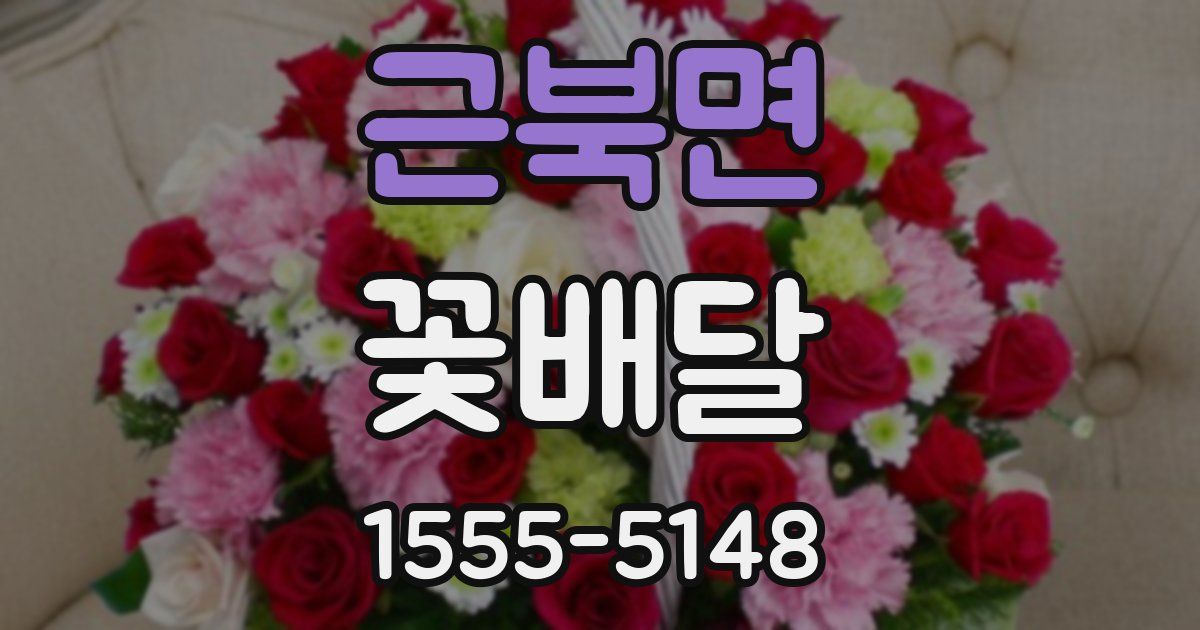 근북면 꽃배달