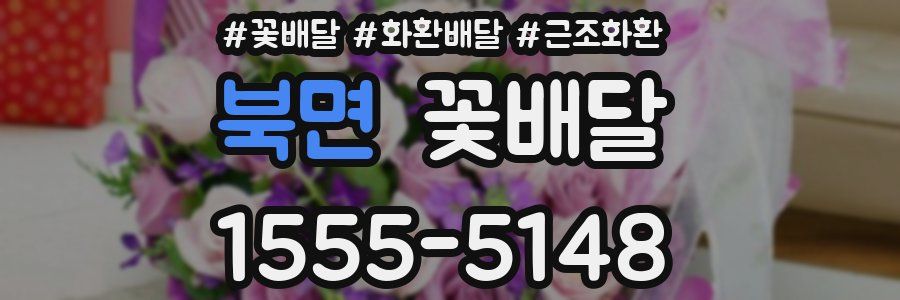북면 꽃배달