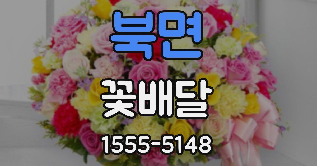 북면 꽃배달