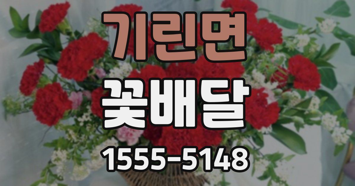 기린면 꽃배달
