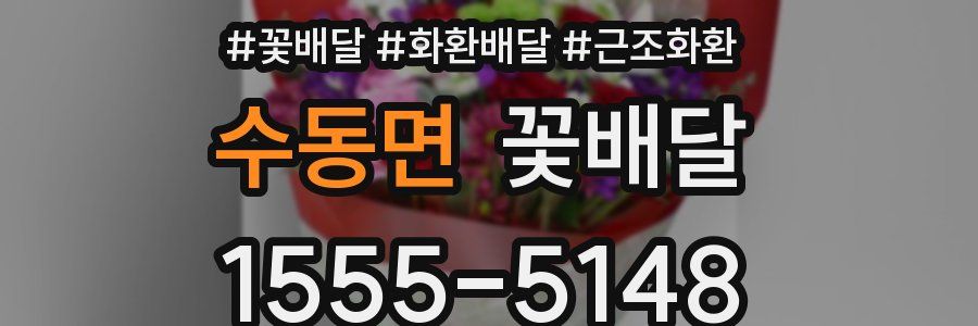 수동면 꽃배달