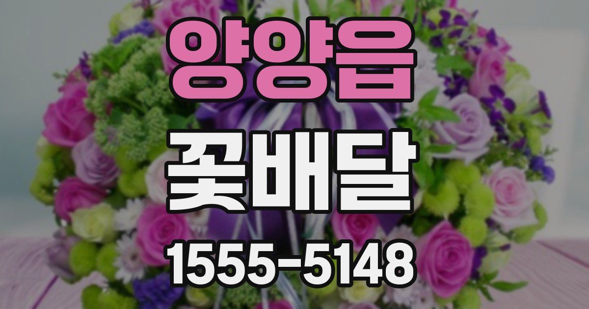 양양읍 꽃배달