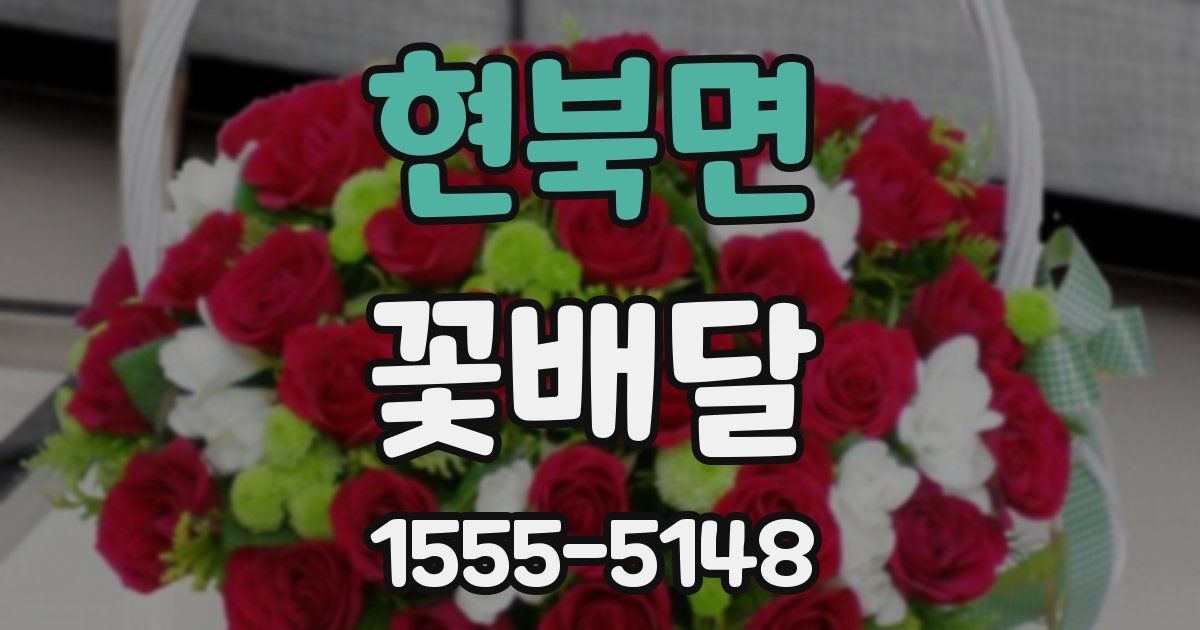 현북면 꽃배달