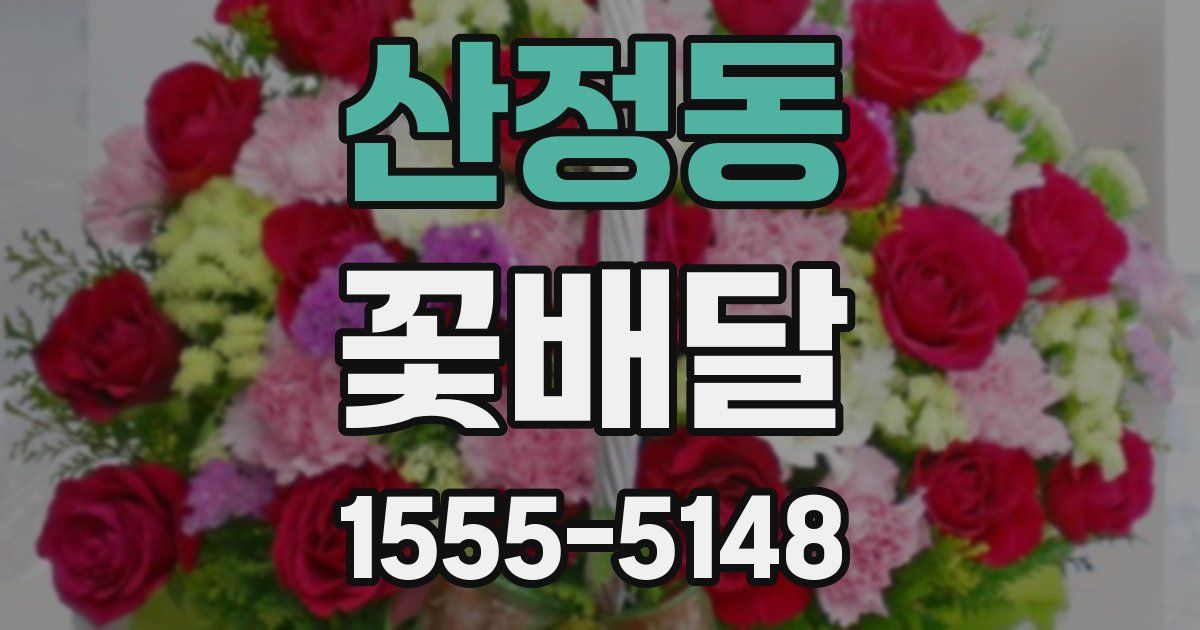 산정동 꽃배달