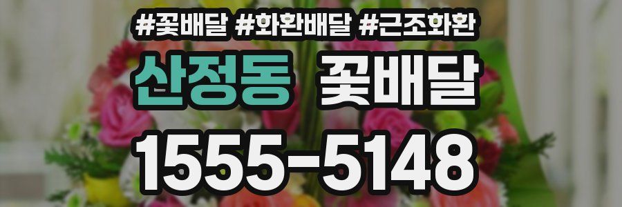 산정동 꽃배달