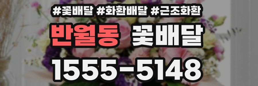 반월동 꽃배달