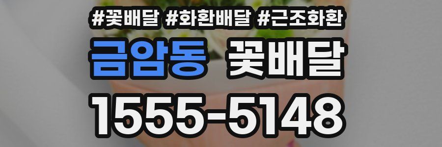 금암동 꽃배달