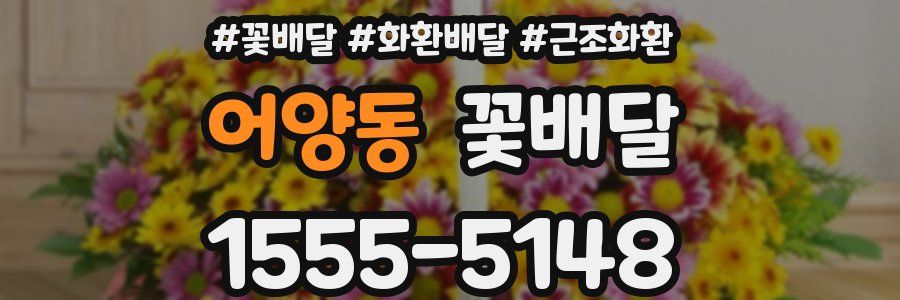 어양동 꽃배달