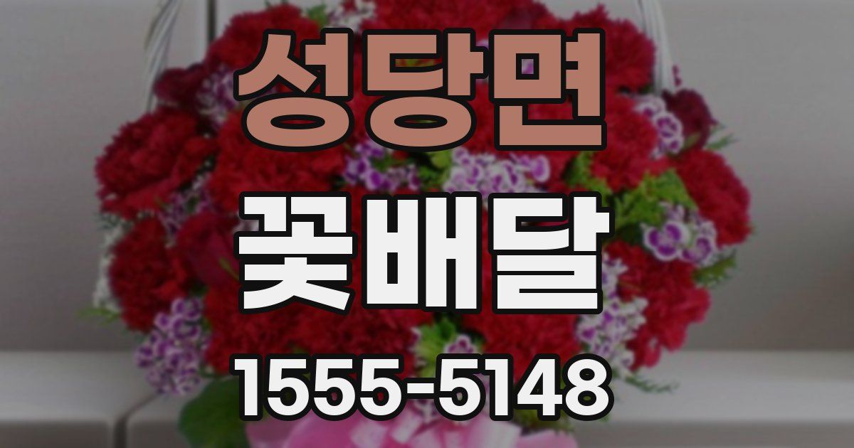 성당면 꽃배달