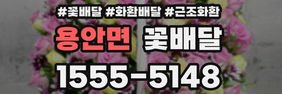 용안면 꽃배달