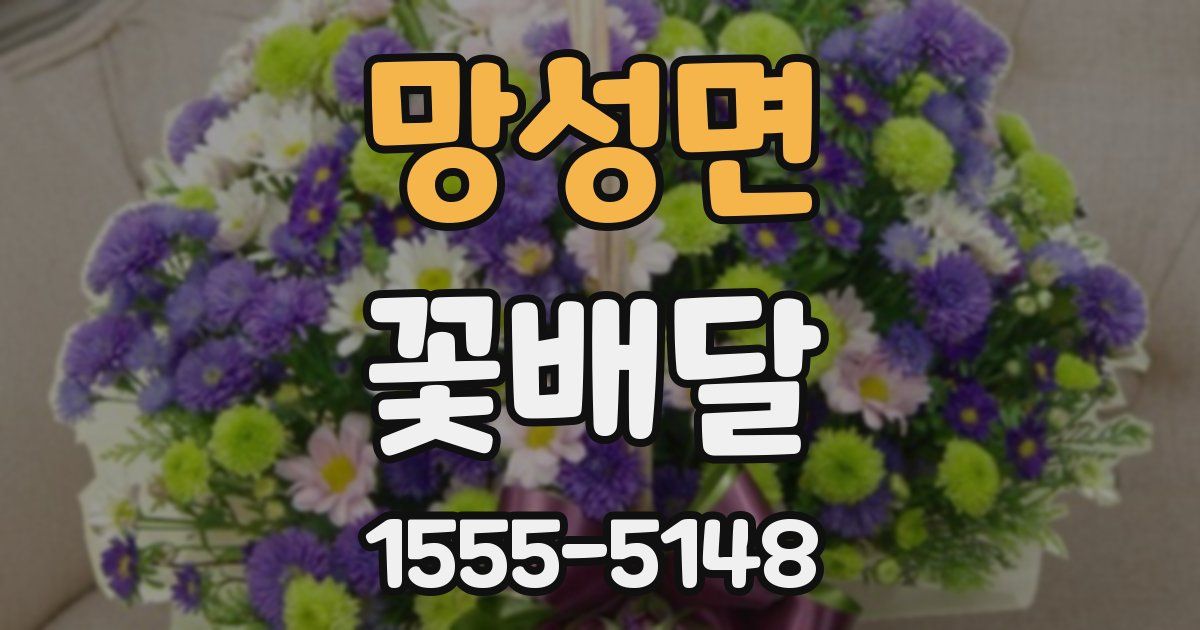 망성면 꽃배달