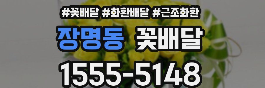 장명동 꽃배달