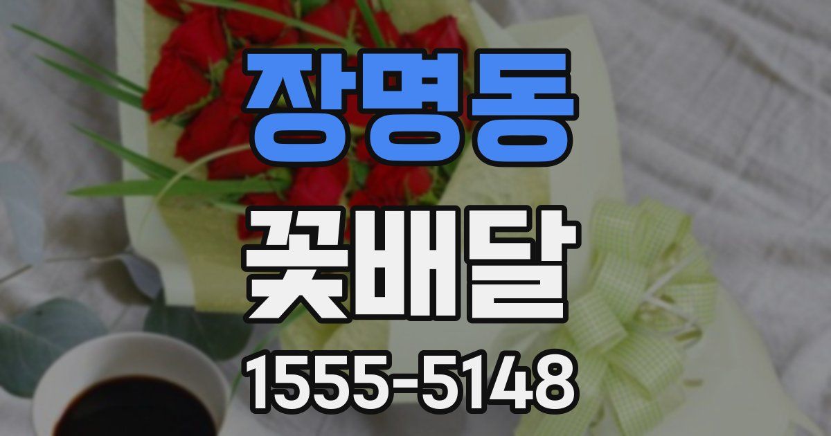 장명동 꽃배달