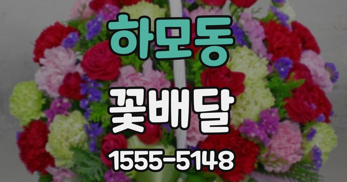 하모동 꽃배달
