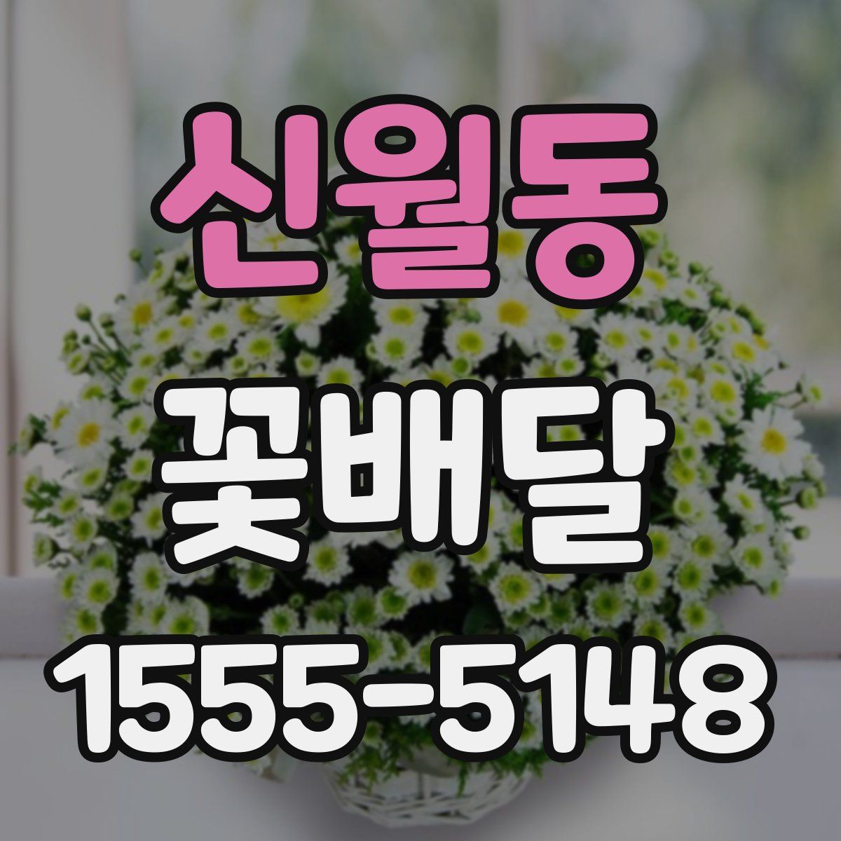 신월동 꽃배달