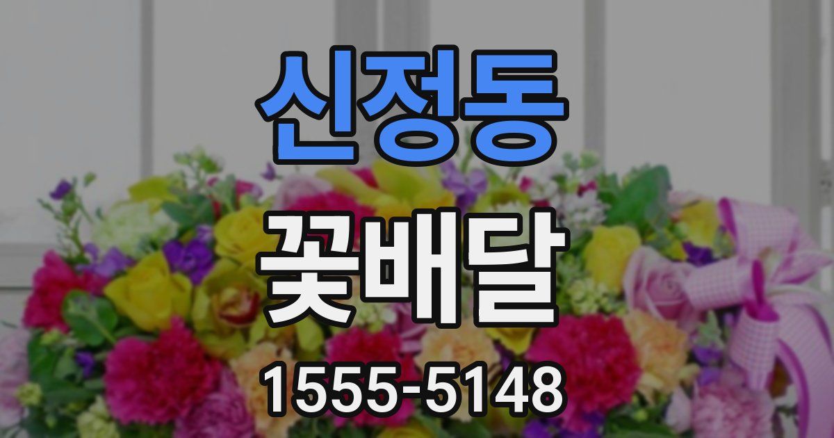 신정동 꽃배달