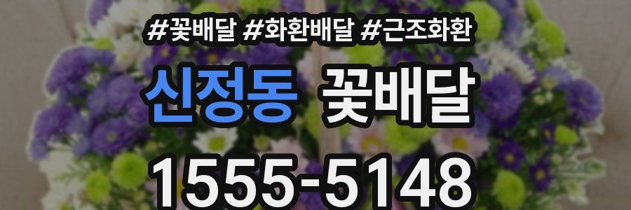 신정동 꽃배달