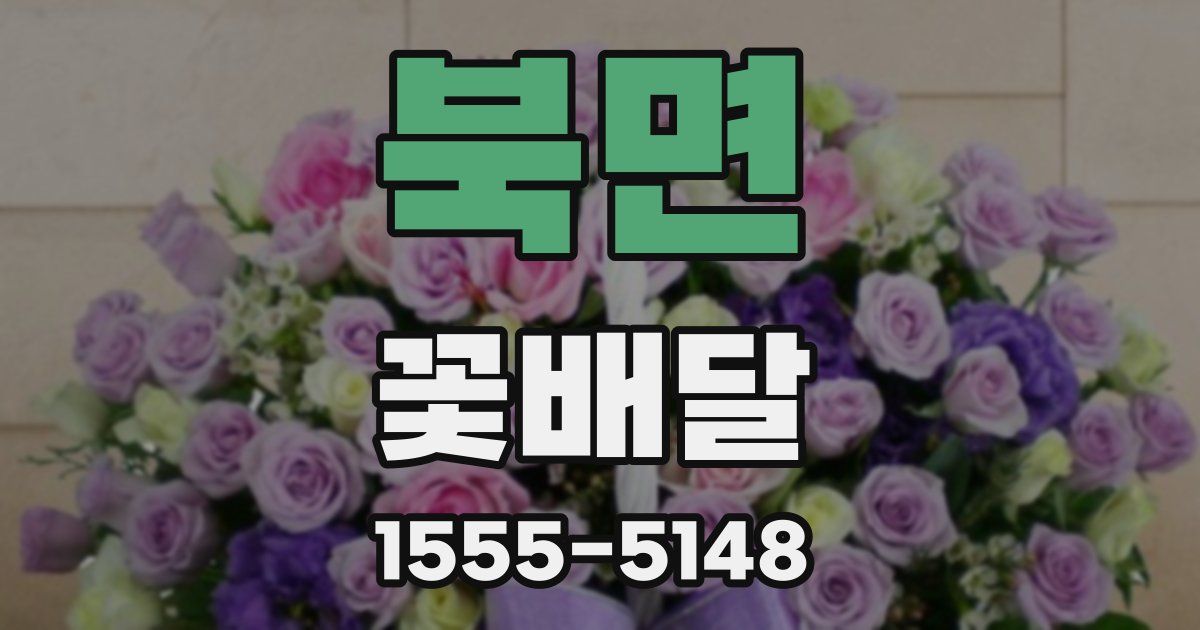북면 꽃배달