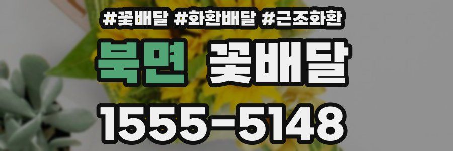 북면 꽃배달