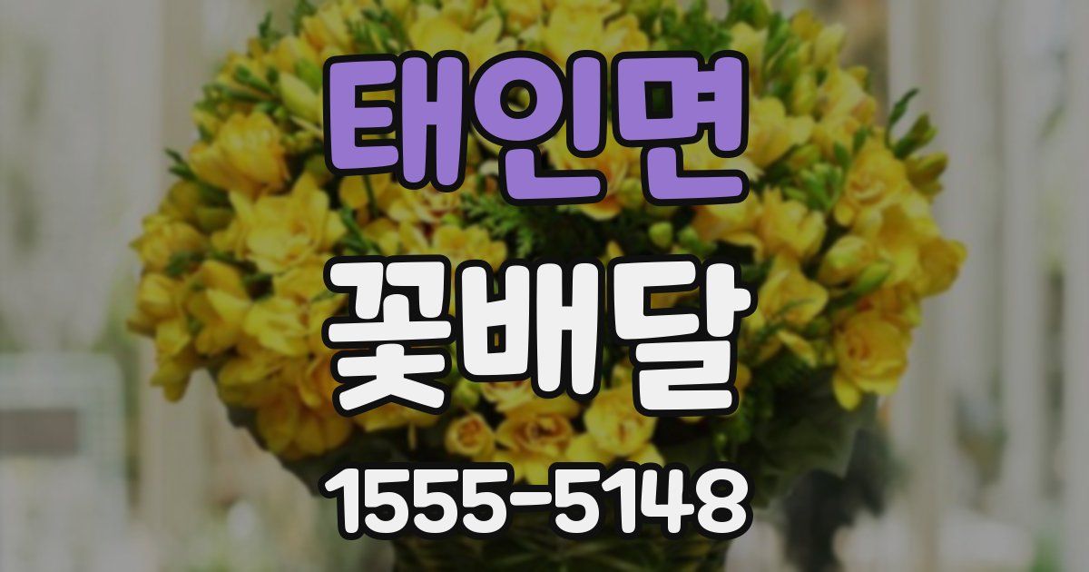 태인면 꽃배달