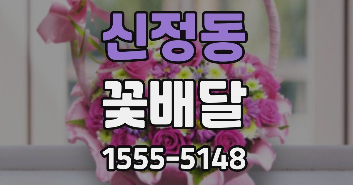 신정동 꽃배달