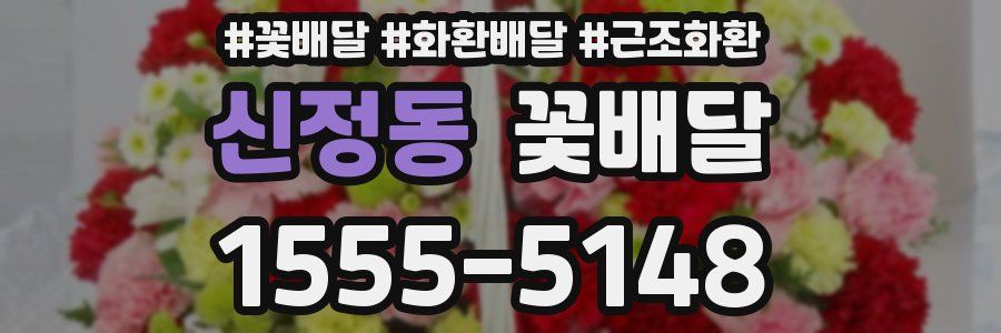 신정동 꽃배달