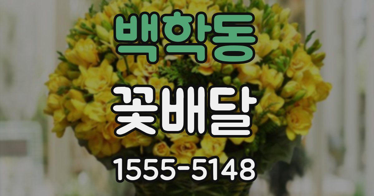 백학동 꽃배달