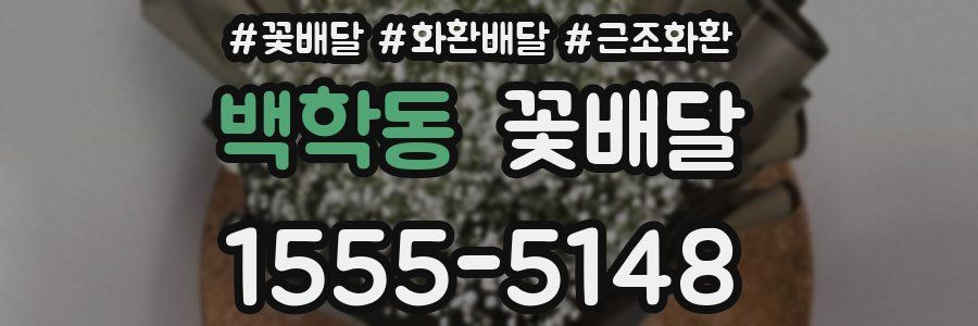 백학동 꽃배달