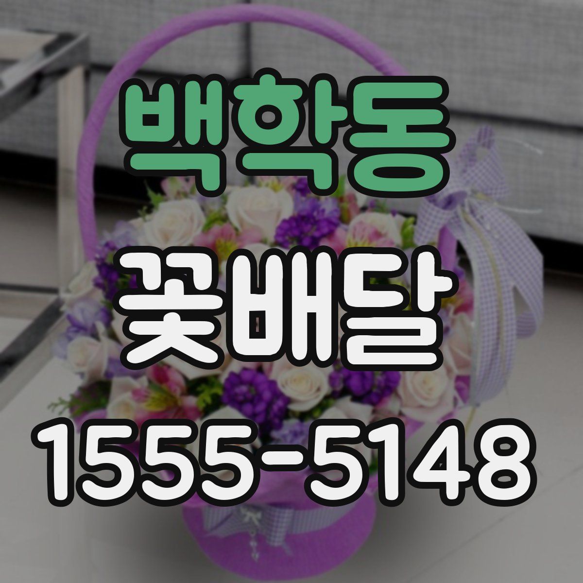 백학동 꽃배달