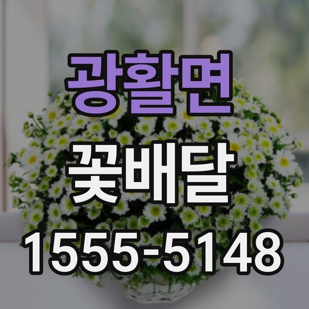 광활면 꽃배달 가격 차이가 생기는 이유와 선택 팁