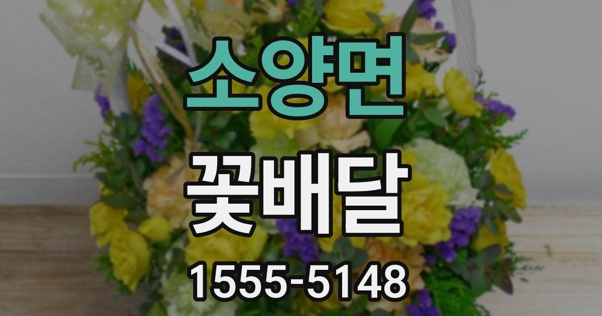 소양면 꽃배달