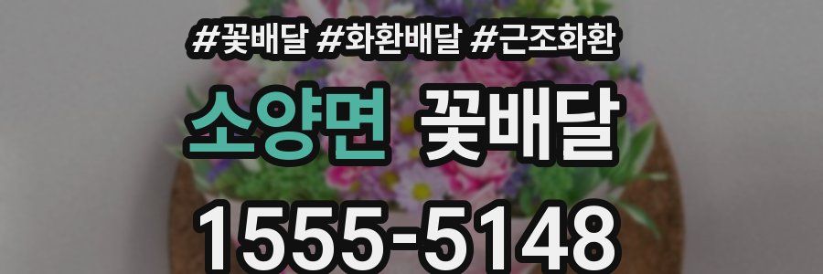 소양면 꽃배달