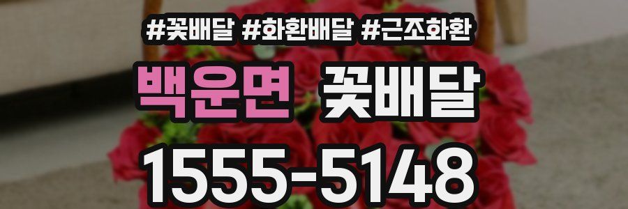 백운면 꽃배달