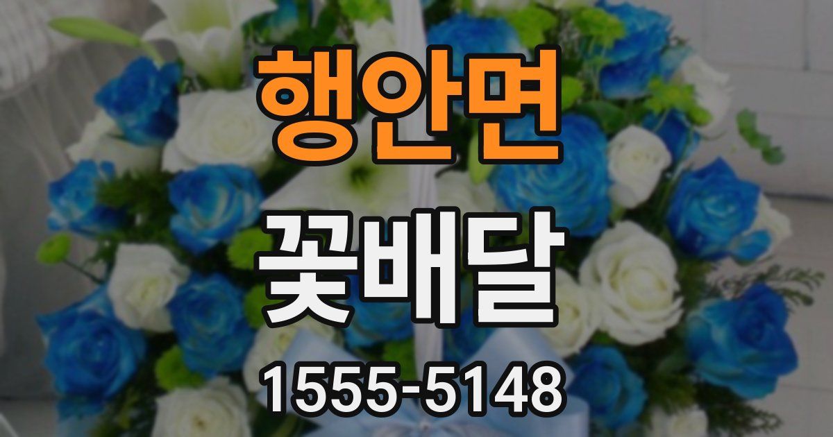 행안면 꽃배달