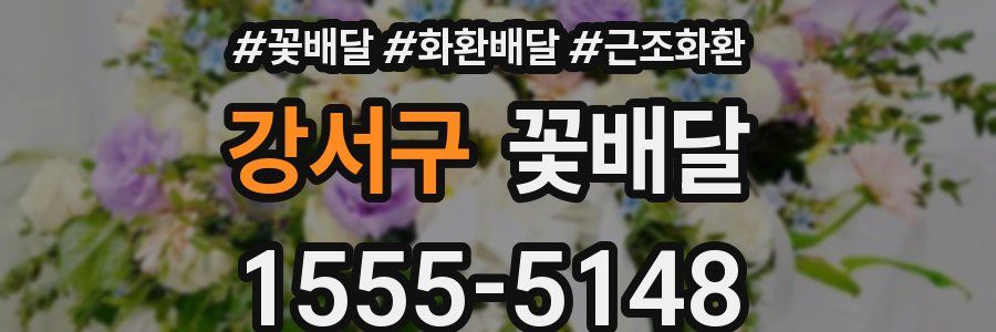강서구 꽃배달