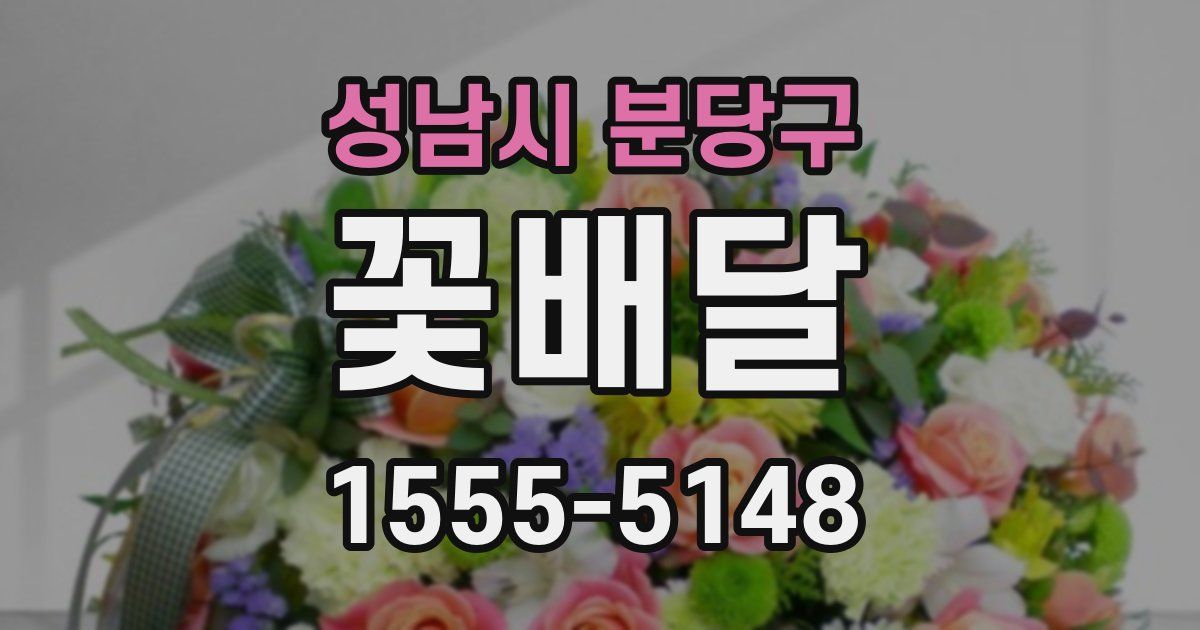 성남시 분당구 꽃배달