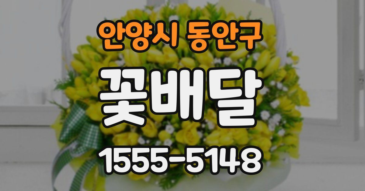 안양시 동안구 꽃배달
