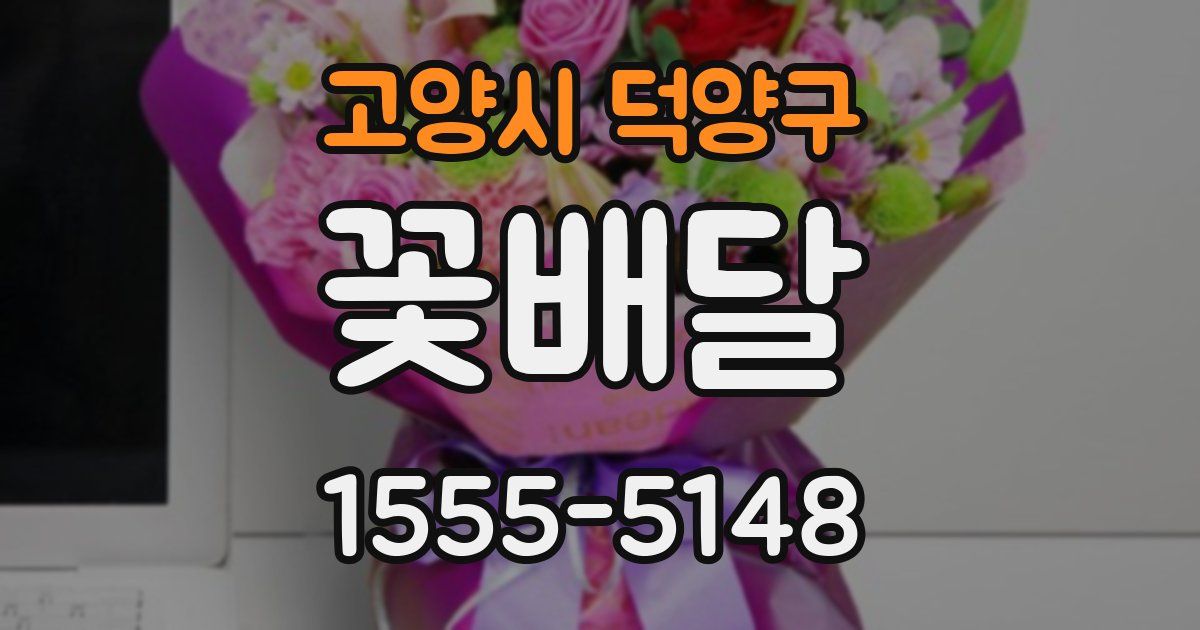 고양시 덕양구 꽃배달