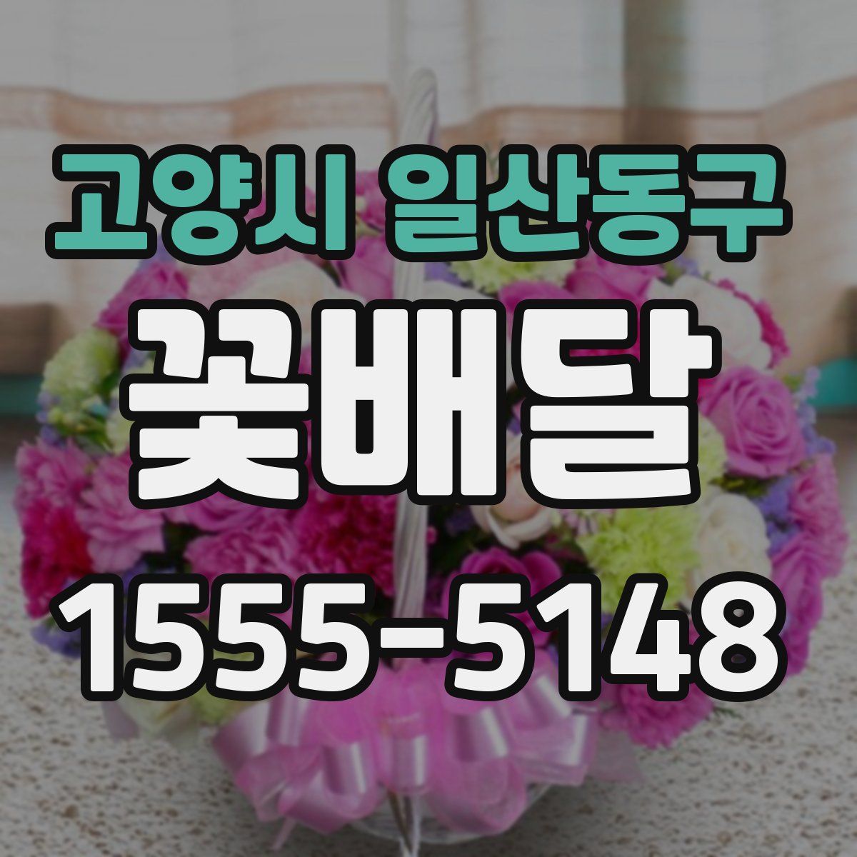 고양시 일산동구 꽃배달