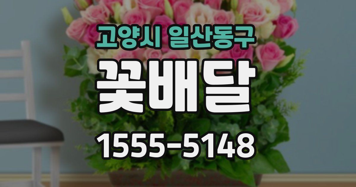 고양시 일산동구 꽃배달