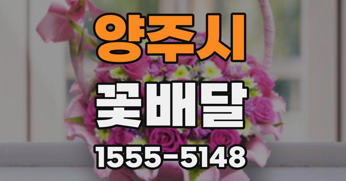 양주시 꽃배달