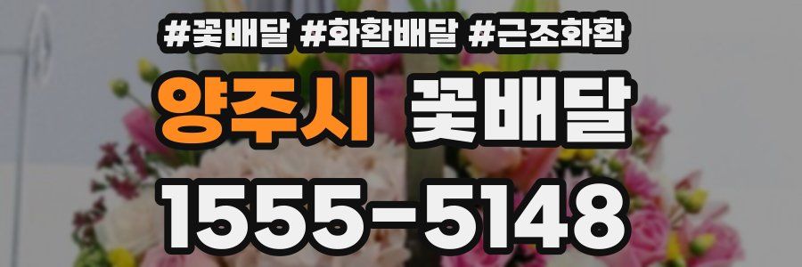 양주시 꽃배달