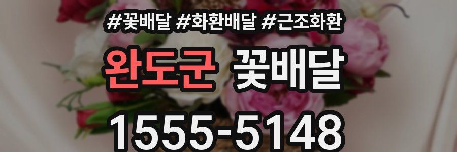 완도군 꽃배달