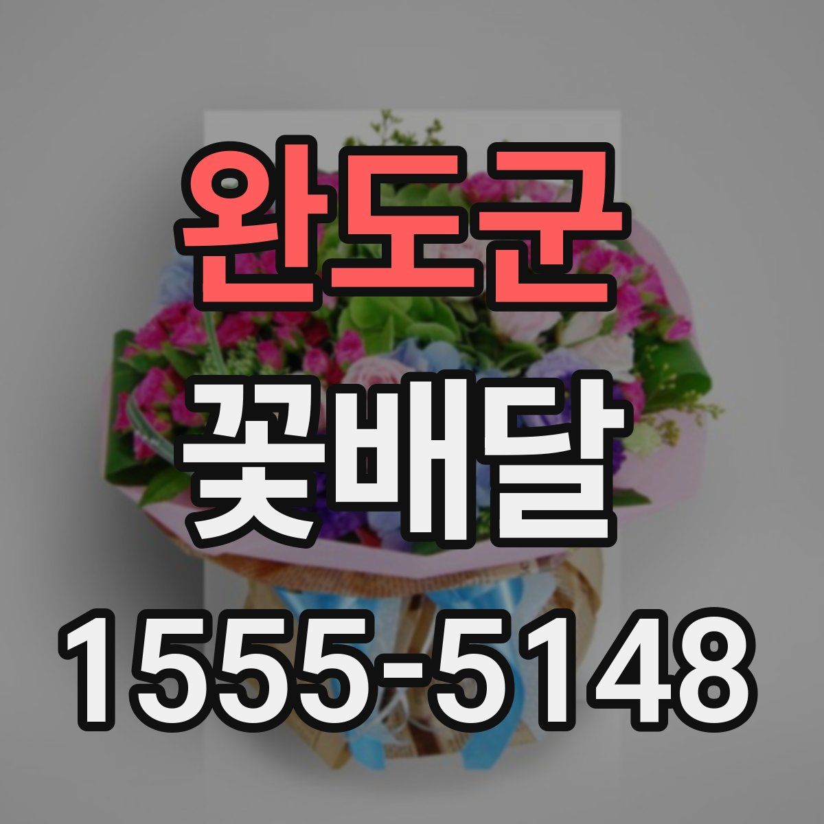 완도군 꽃배달