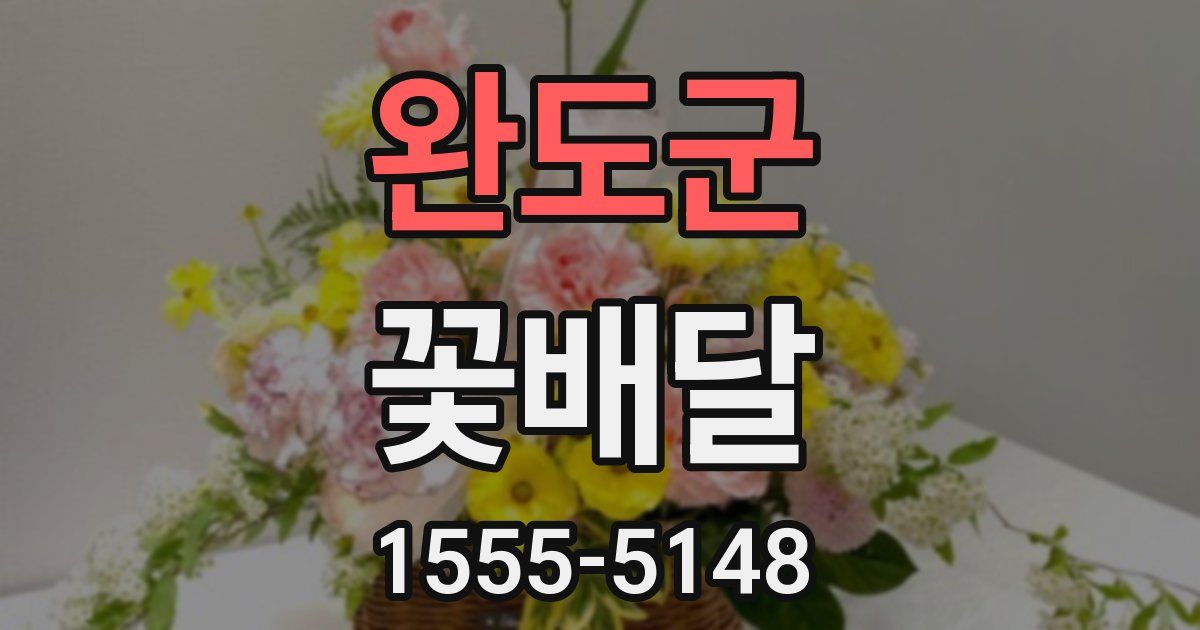 완도군 꽃배달